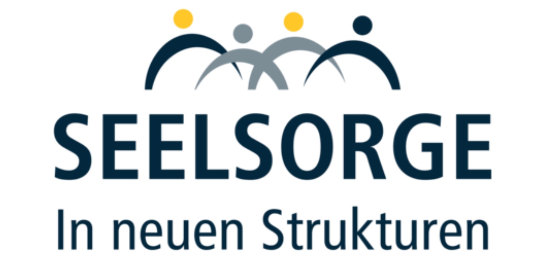 Seelsorge in neuen Strukturen